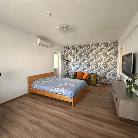 アパート Apartament Stefan Cel Mare